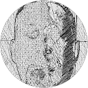 Profilbild von „Alexander Gaun“
